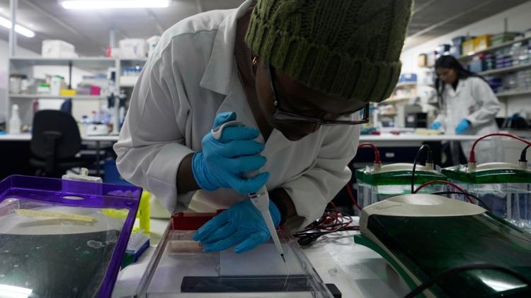 US funding cuts halt HIV vaccine research in South Africa