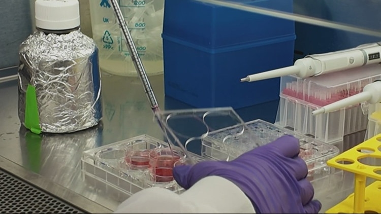 OHSU researcher receives over $8 million federal grant to find HIV cure