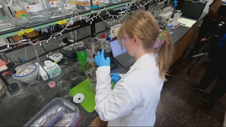 Wildfire smoke-tainted grapes are Oregon's new reality. But OSU researchers hope to take preemptive measures