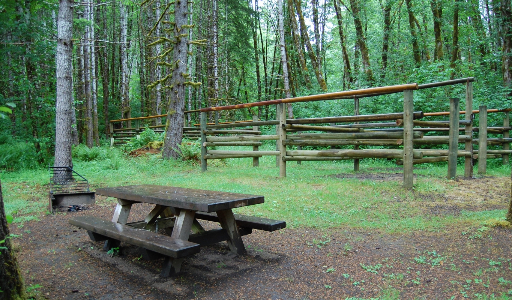 Want a campsite on short notice? Search for a horse campsite