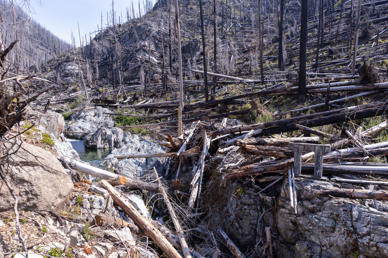 Can Opal Creek, a treasured natural area devastated by the 2020 Labor Day wildfires, come back to life?