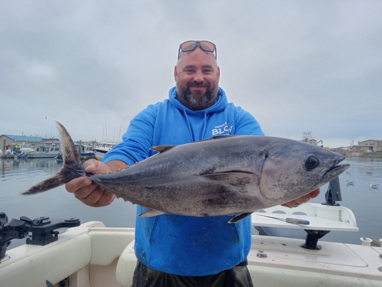 Pelagic Catches Highlight Labor Day Weekend News -