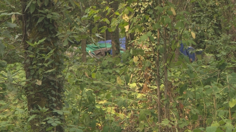 Nestled in the woods just outside of Portland, homeless camps resist the state's attempts to clear them