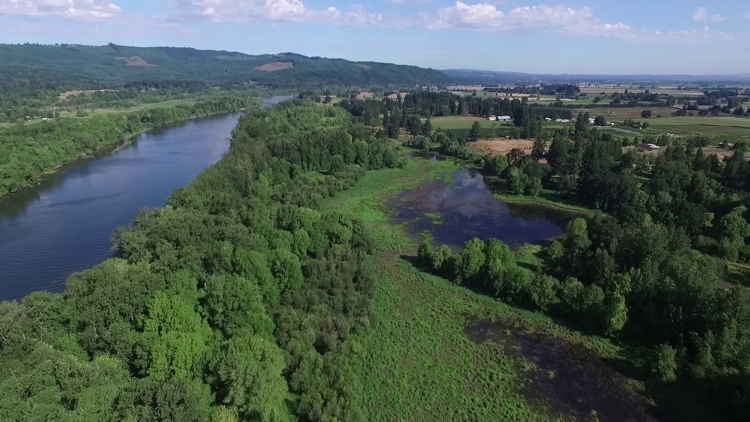 From Scappoose Bay to Sauvie Island, there are many miles of natural byways to paddle and explore