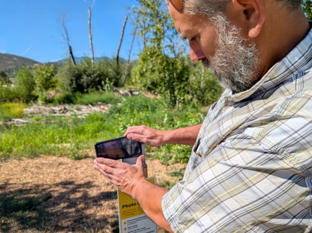 The Almeda Fire burned through Bear Creek. Now native plants are taking hold