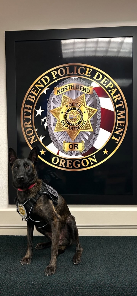 Photos from North Bend Police Department - Oregon's post