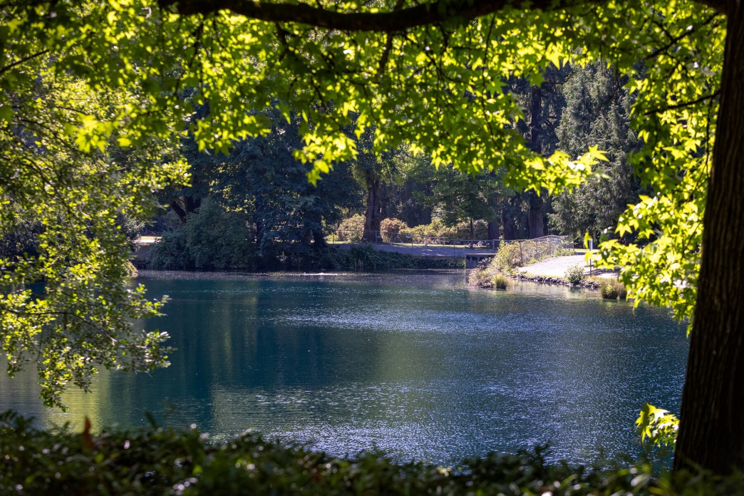 Portland should see a warm, sunny Saturday before rain arrives