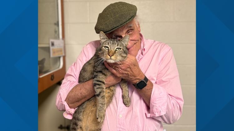 'That's our Spencer' | Lost cat reunited with family after being missing for 2 years