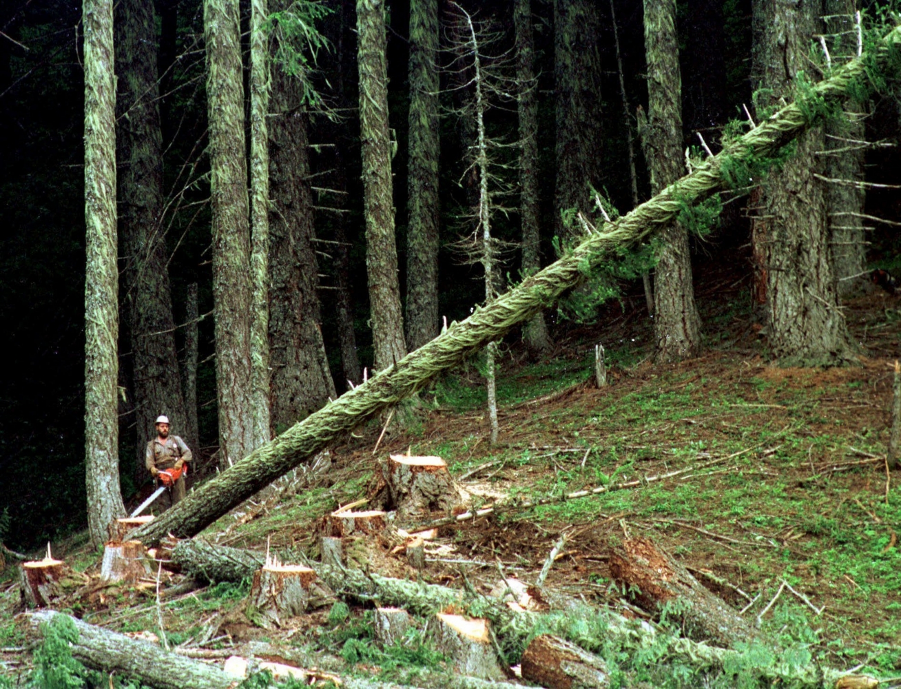 Rural Oregon counties face financial uncertainties as federal funding sources shrink