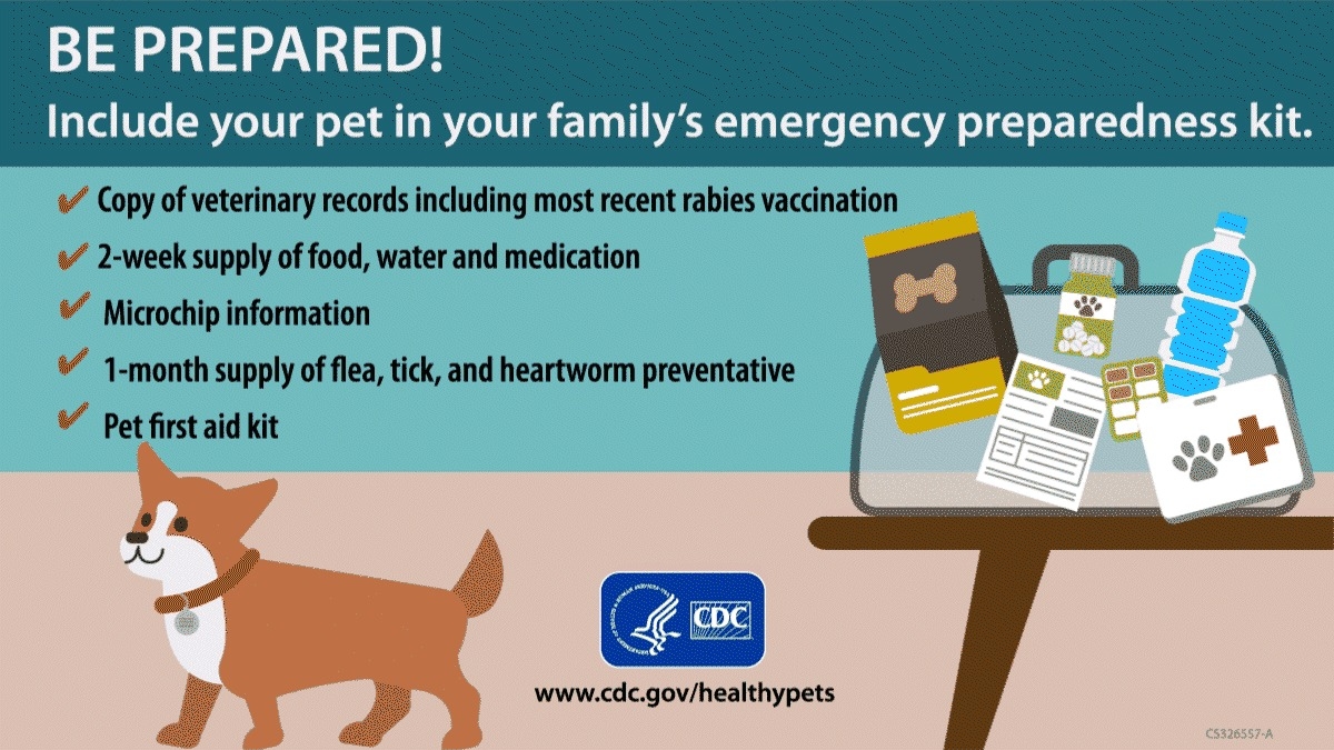 Your pets are like family, so it’s important you have a disaster plan for them. This includes knowing a safe place you can take them when disaster strikes, having your pet microchipped with up-to-date contact information and making a kit that includes items like food, water, leashes and any medication they take. Visit Ready.gov/Pets to learn more!  
  
***  
  
Tus mascotas son como parte de la familia, por lo que es importante que tengas un plan de emergencia para ellas. Esto incluye conocer un lugar seguro al que puedas llevarlas cuando ocurra un desastre, colocarles un microchip con información de contacto actualizada y preparar un kit que incluya artículos como comida, agua, correas y cualquier medicamento que tomen. ¡Visita https://www.ready.gov/es/kit-de-herramientas-de-medios-sociales-para-promover-la-preparacion-de-mascotas  para obtener más información!