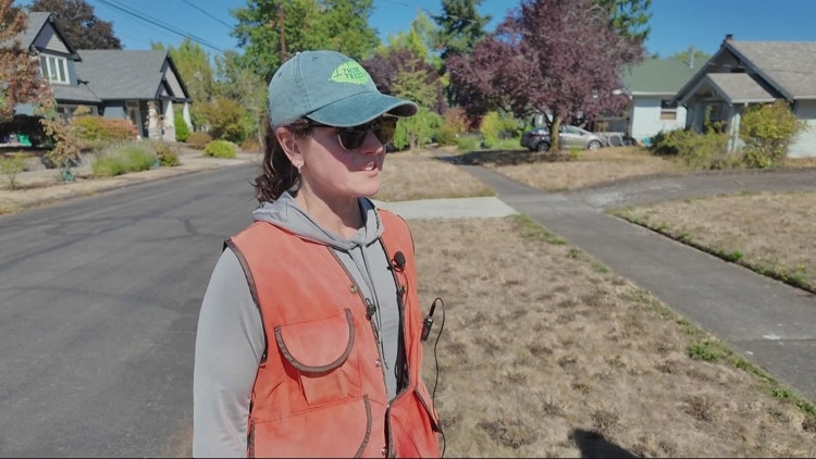 Portland sets goal to plant thousands of climate-resistant trees in neighborhoods without much shade