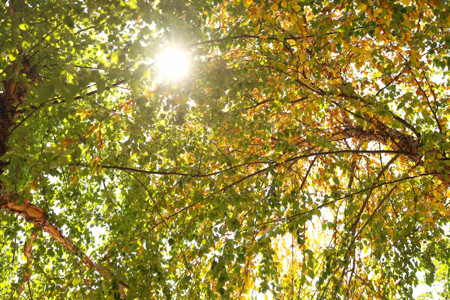Keep those shades handy. Portland sees sunny skies Wednesday, but cooler high temps
