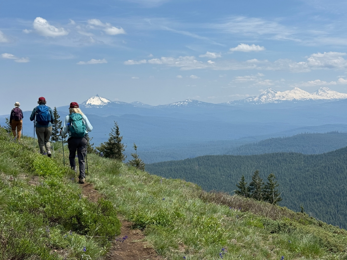 Ending the ‘roadless rule’ could affect wildfires, wildlife in Oregon, Washington federal forests
