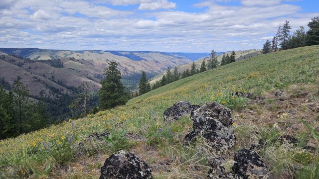 Guest column: Finding solitude in Oregon's forgotten corner