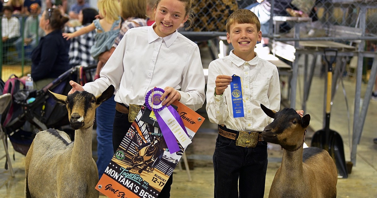 Showtime at the ring: Years of hard work by siblings on display at Northwest Montana Fair