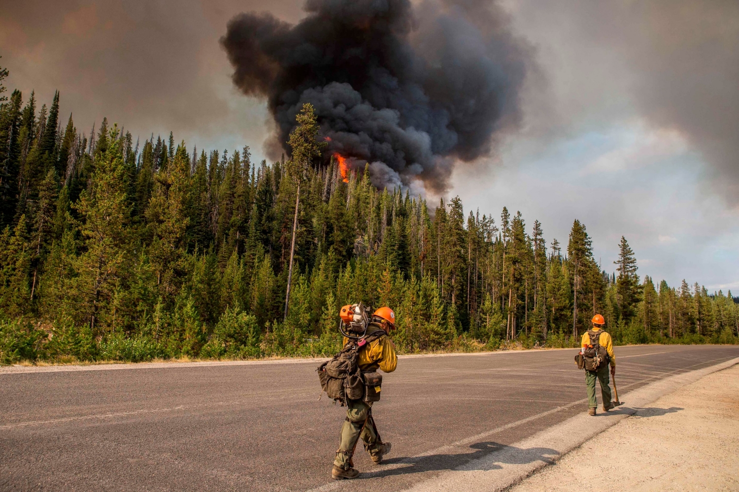 Staff shortages pull Idaho Forest Service office workers into fire roles