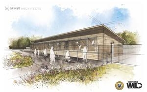 New raptor education center set for construction at Montana WILD