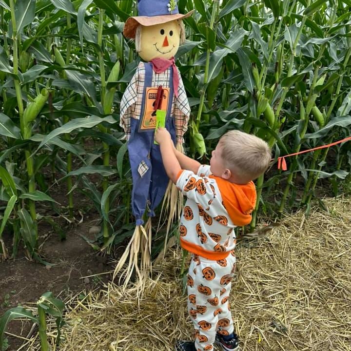 π Bose Family Farm Harvest Festival | Open through November 1
Fall fun returns with the Bose Family Farm Harvest Festival, open Thursday and Friday from 12 to 6 p.m. and Saturday and Sunday from 9 a.m. to 6 p.m., September 26 through November 1. Closed Monday through Wednesday.
Get lost in the themed corn maze, pick your perfect pumpkin from over 35 varieties, and enjoy hayrides, hot cider, and classic harvest games. This year there are food vendors and u-pick sunflowers for only $1 each!
Just outside of town, this seasonal celebration is a favorite for families, school groups, and anyone ready to soak up the charm of fall in the Willamette Valley.
#BoseFamilyFarm #HarvestFestival #CornMaze #PumpkinPatch
#VisitAlbanyDiscoverYourStory #HiddenGemsOfAlbany #AlbanyOregon #MyAlbanyStory #AuthenticallyAlbany #TravelDestination #LoveAlbanyOregon #VisitAlbanyOregon #WillametteValleyVisitorsAssociation #WillametteValley #TravelOregon #AlbanyVisitorsAssociation Willamette Valley - Oregon Wine Country Travel OregonPhotos from Albany Visitors Association's post