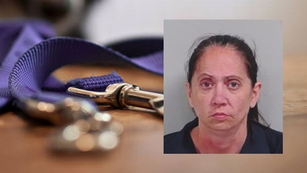 Dogs killed 2-year-old boy at Georgia daycare center while owner napped