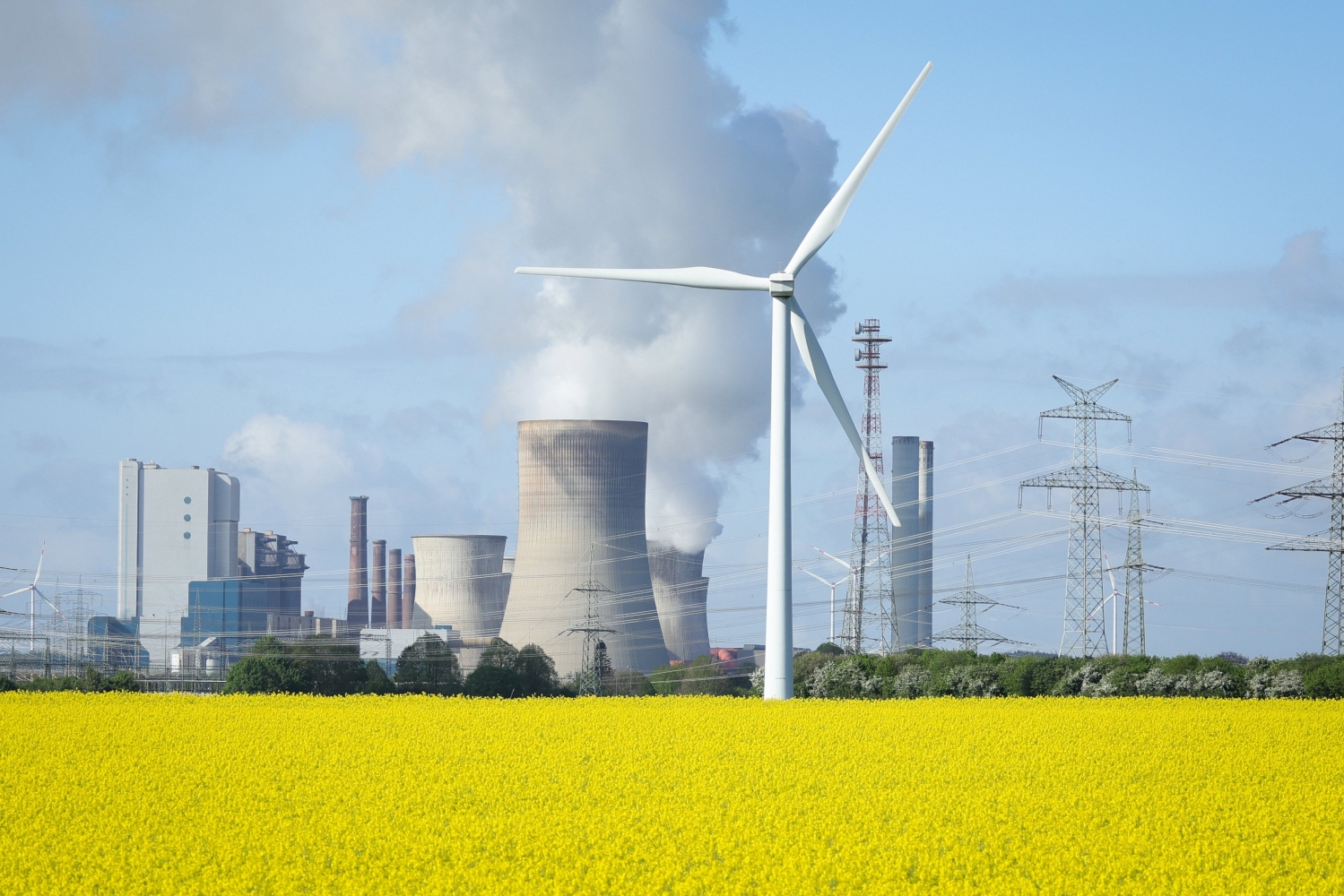 Renewable energy outpaces coal for electricity generation in historic first, report says