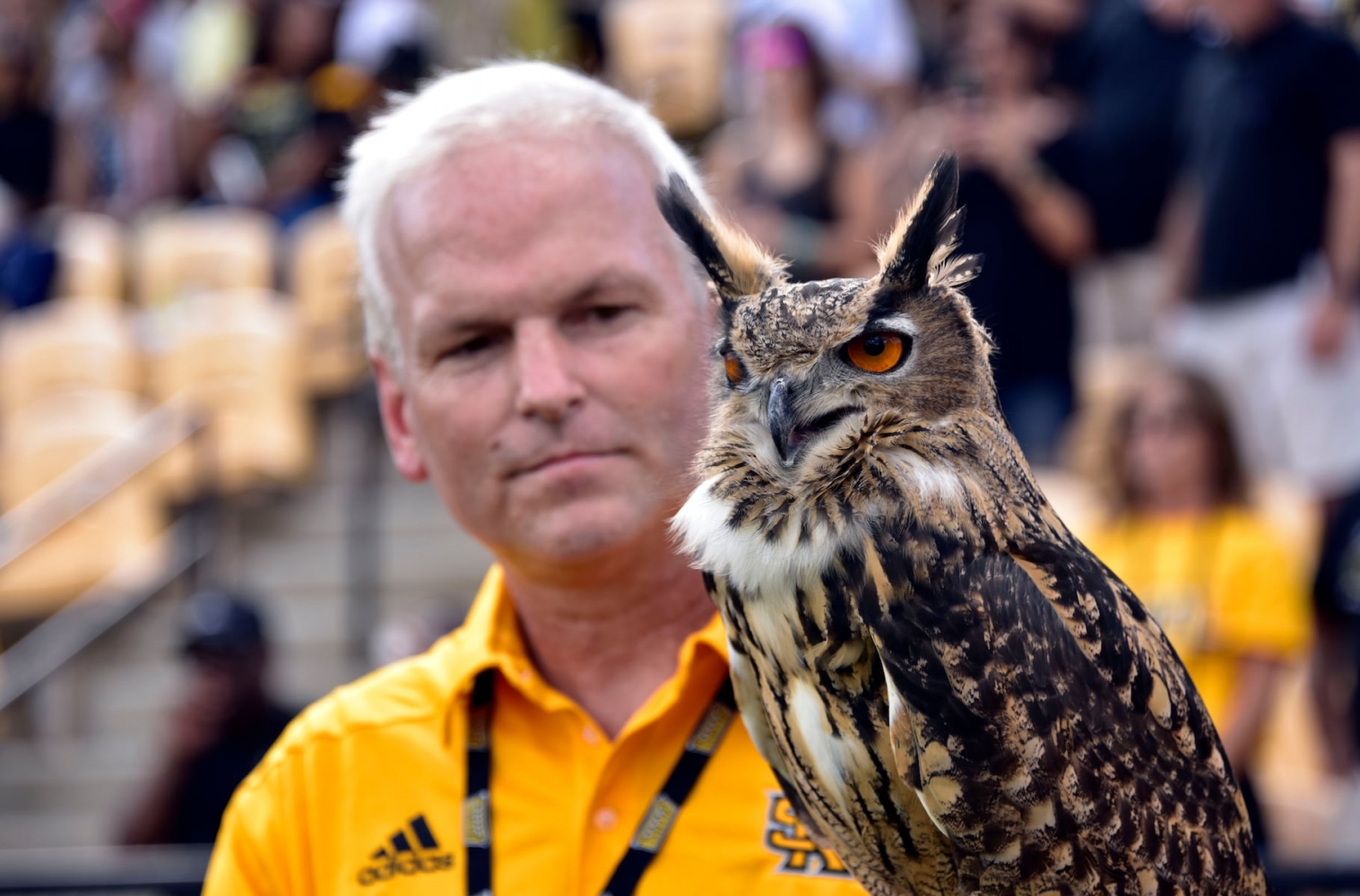 Watch Louisiana Tech vs Kennesaw State streaming free today; Channel, time, odds