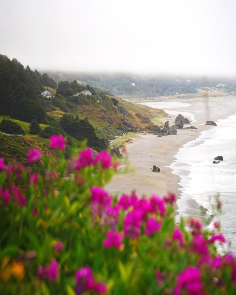 Southern Oregon CoastBrookings in bloom: proof the coast knows how to put on a show.  📷@thestolenword