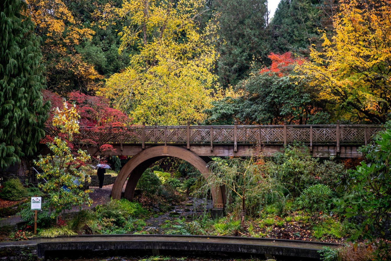 Where to find fall foliage in Oregon: Oct. 13-19