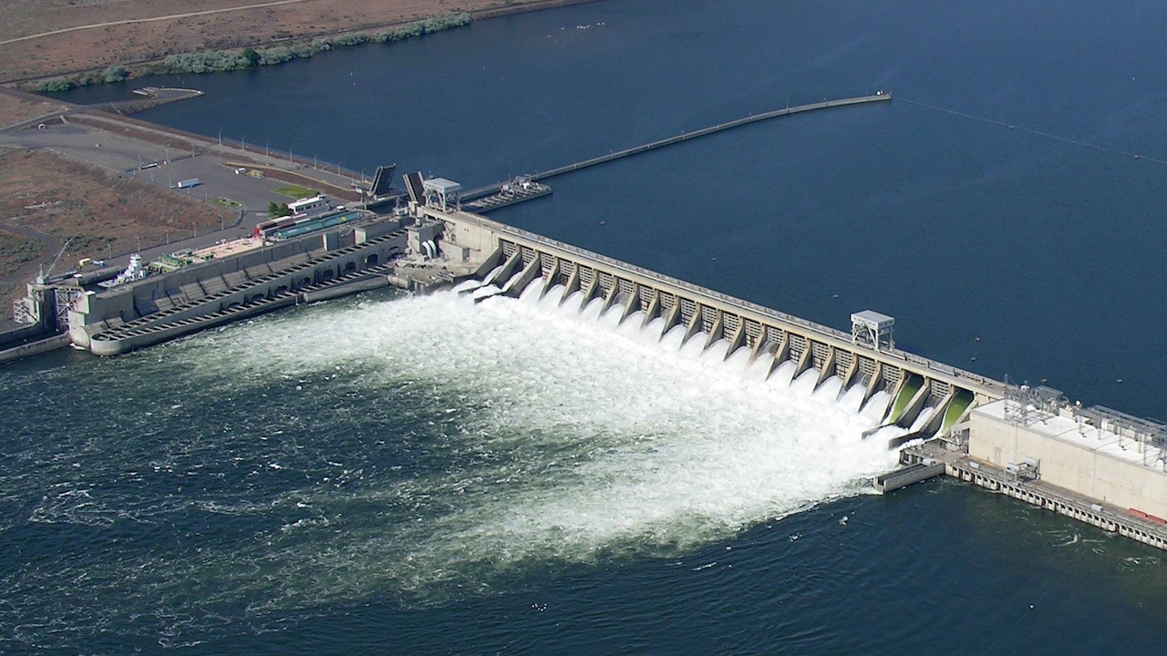 Columbia Salmon, Steelhead Advocates Ask Federal Judge For Preliminary Injunction -
