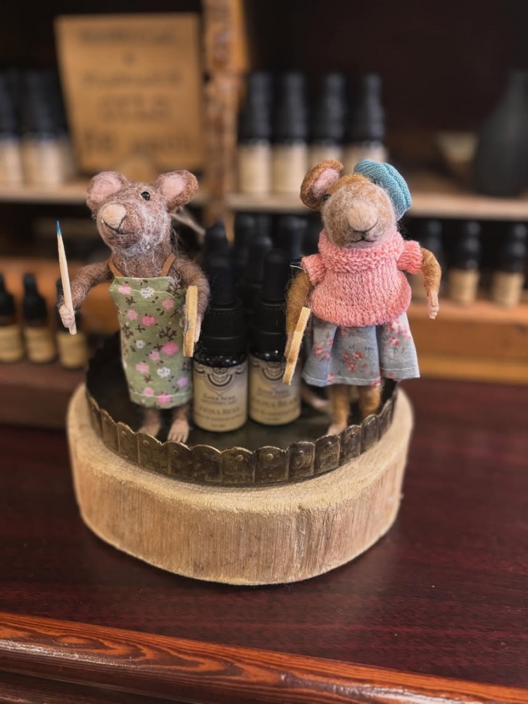 Fiona Bean LLC✨Looking for inspiration? We have your muse…
