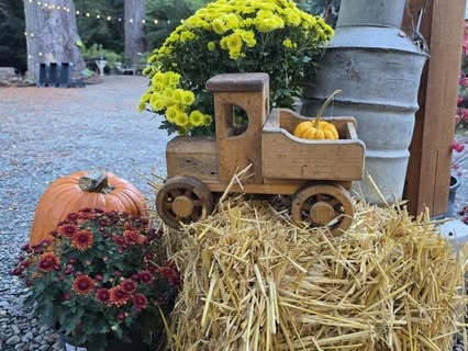 Dragonfly Farm & Nursery🍂🍁Still haven’t got your pumpkins yet? Come pick some out along with straw bales and lots of p...