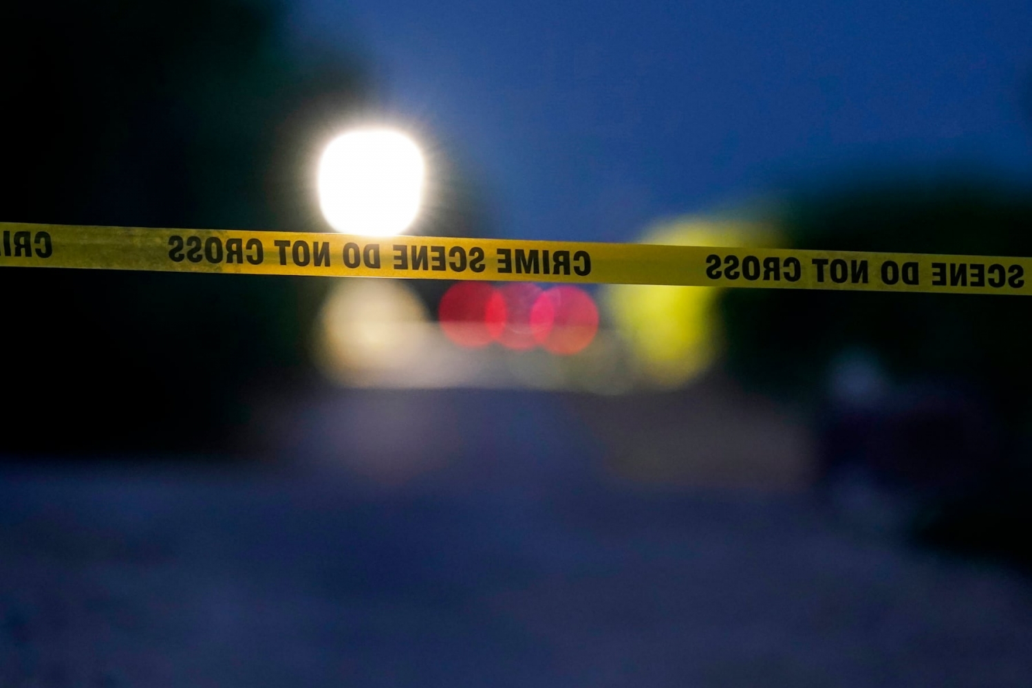 Lake Oswego man with schizophrenia pleads guilty to killing his mother in 2024