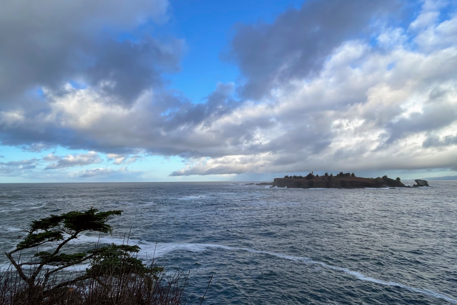 Marine heat wave known as ‘the Blob’ returns to Pacific, but so far spares Oregon and Washington