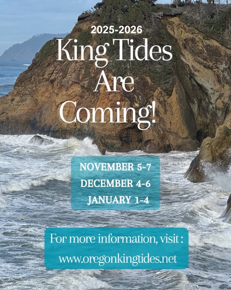 The King Tides are almost here, with the first round happening November 5th-7th!  These extreme high tides occur when th...