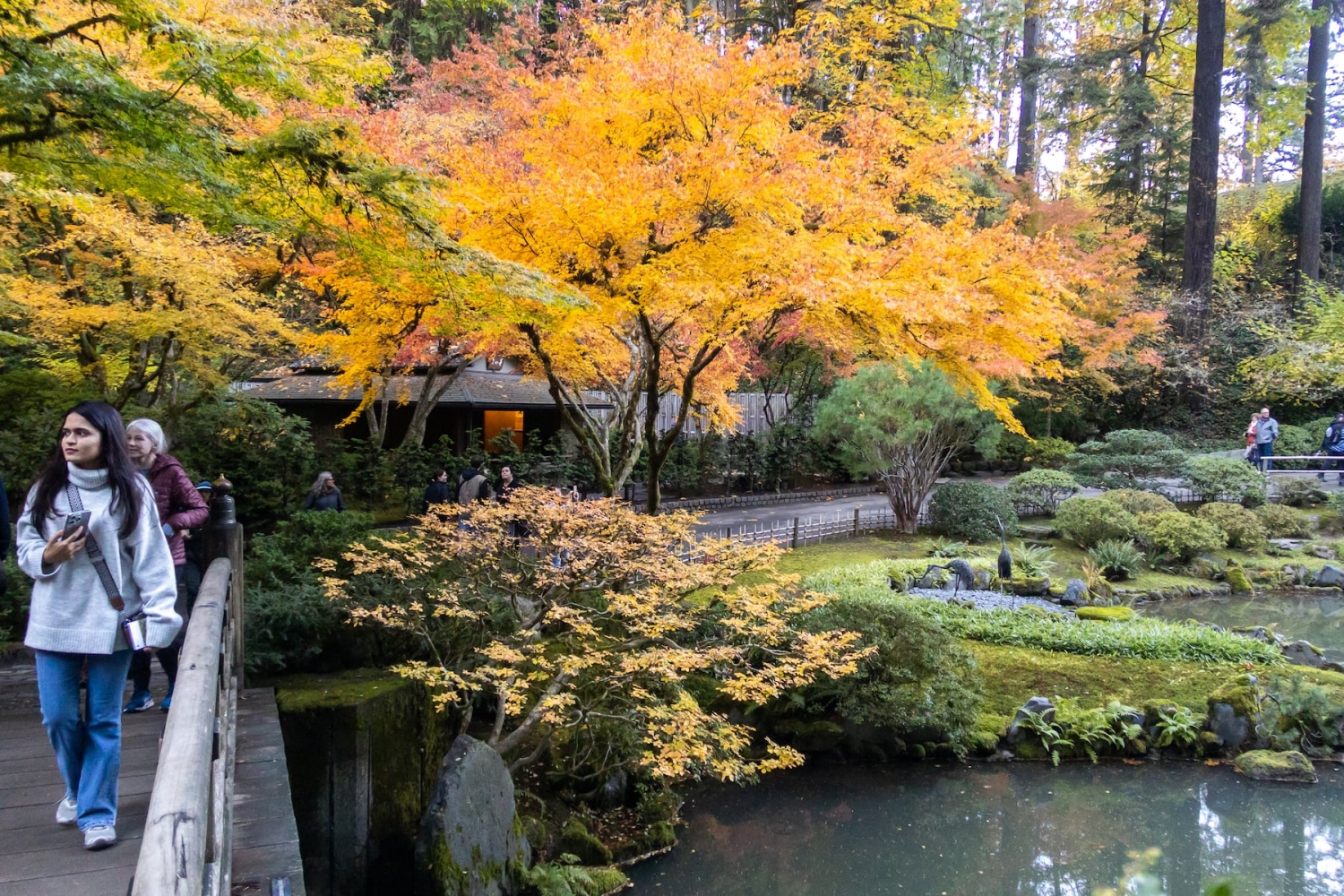 Portland Japanese Garden extends hours for leaf peepers this fall