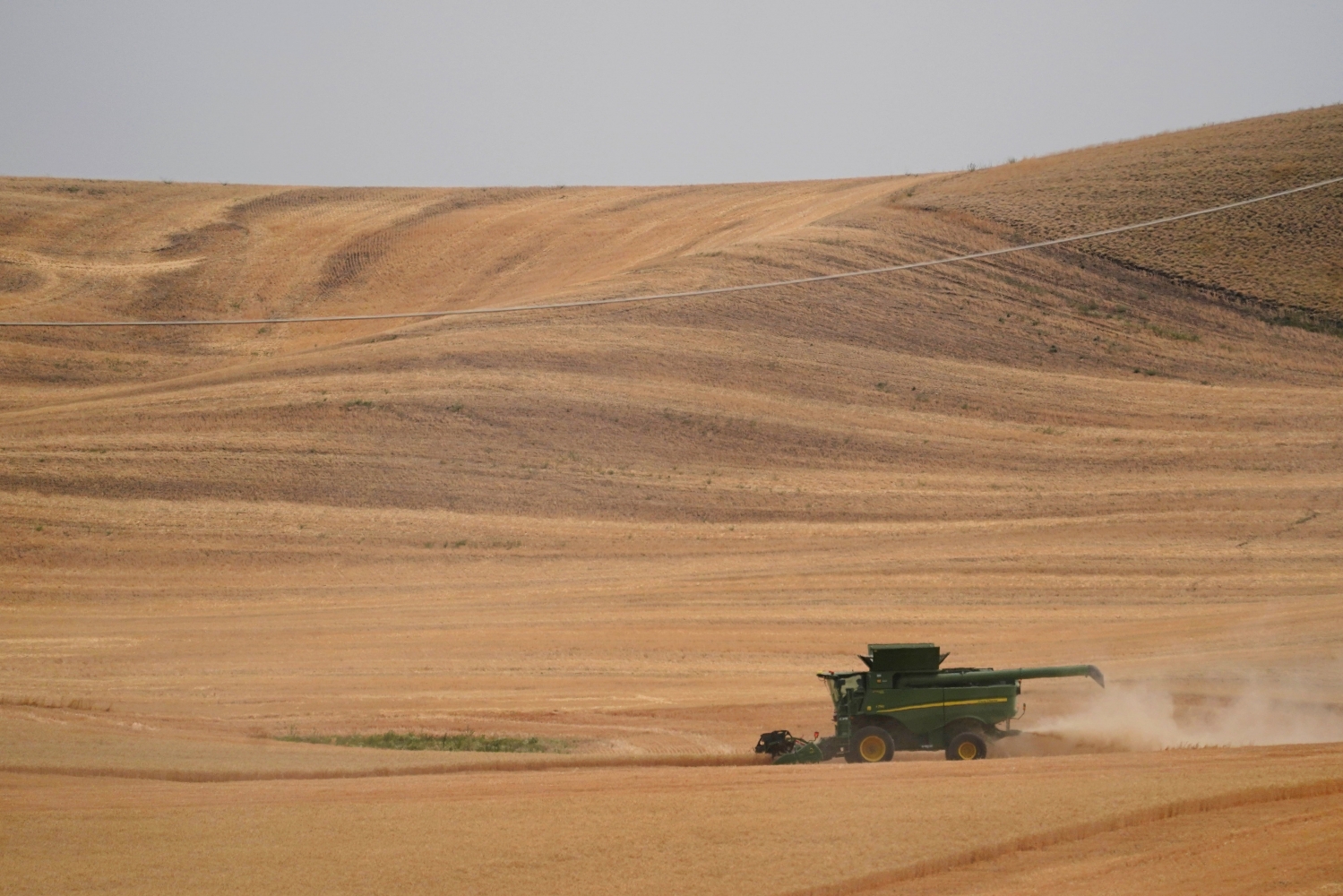 Oregon wheat farmers caught in trade war wait for Trump bailout. But they’re not counting on it