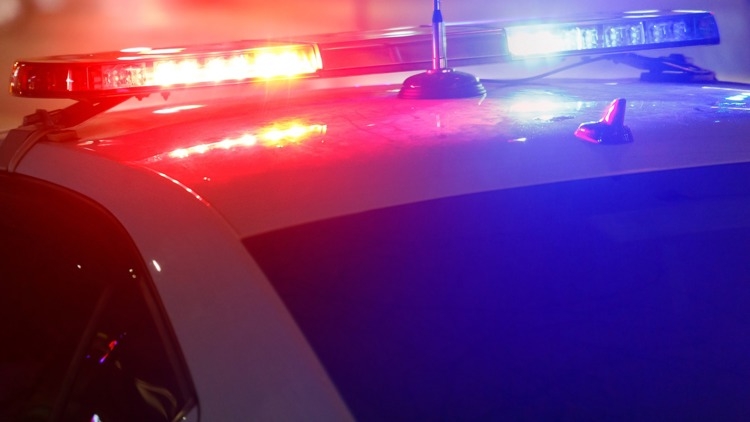 Police departments across US warn communities about 'AI homeless man prank'