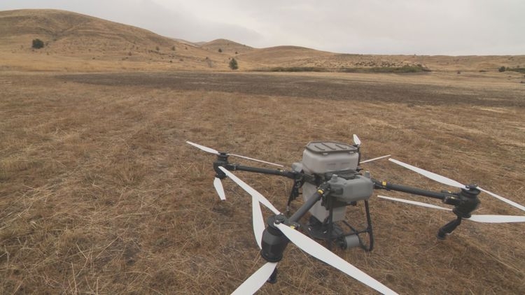 How drones are helping bring wildfire-damaged ranchland back to life after Larch Creek Fire