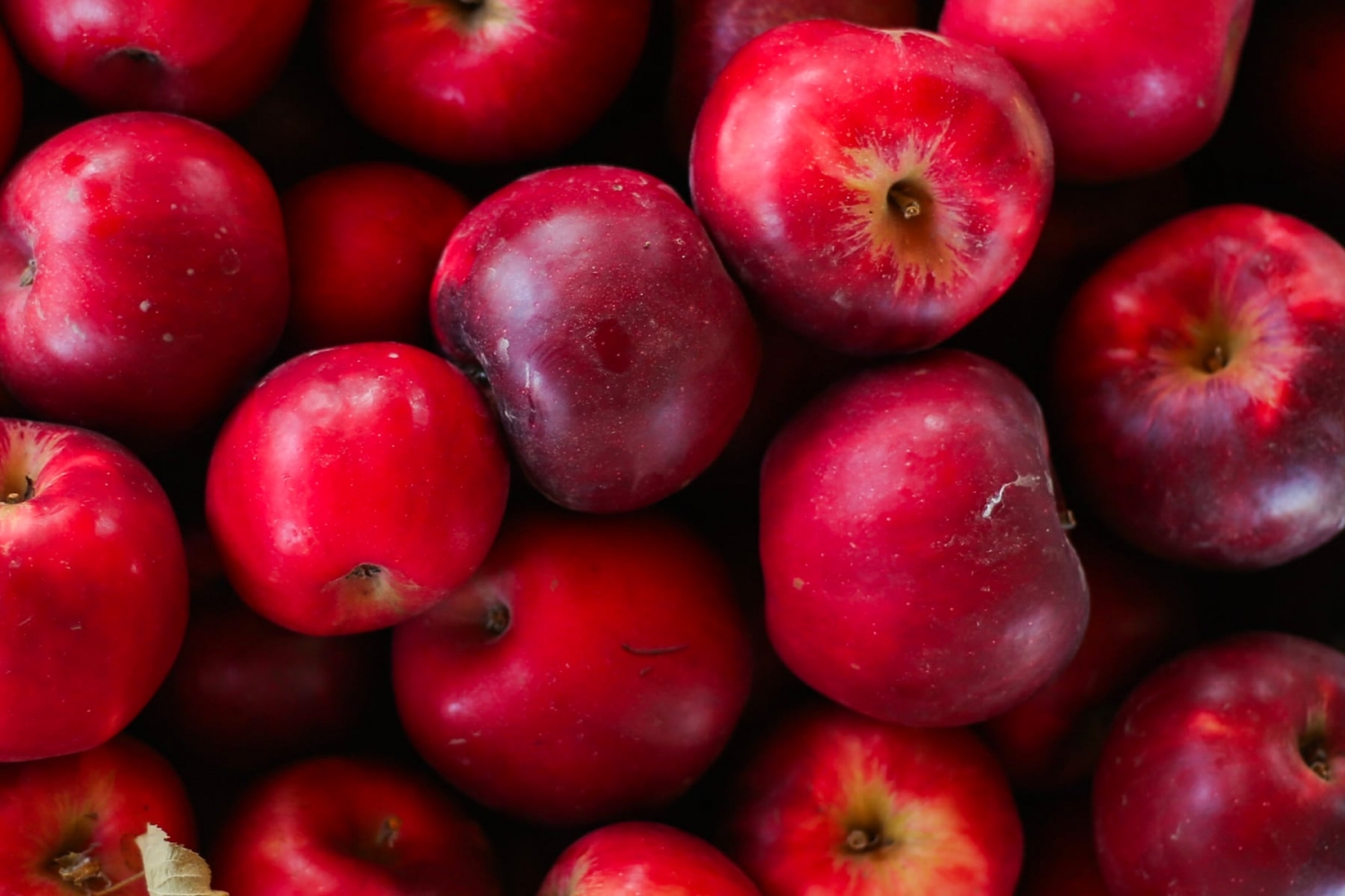 Here are the 3 best apple orchards in Oregon, according to our readers