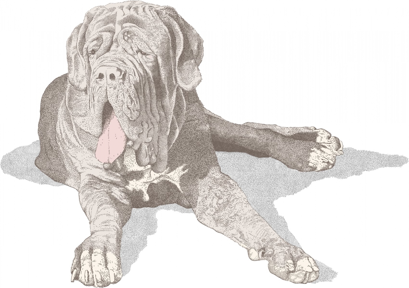 Asking Eric: Am I being dramatic when I refused to visit my sister and her giant dog?