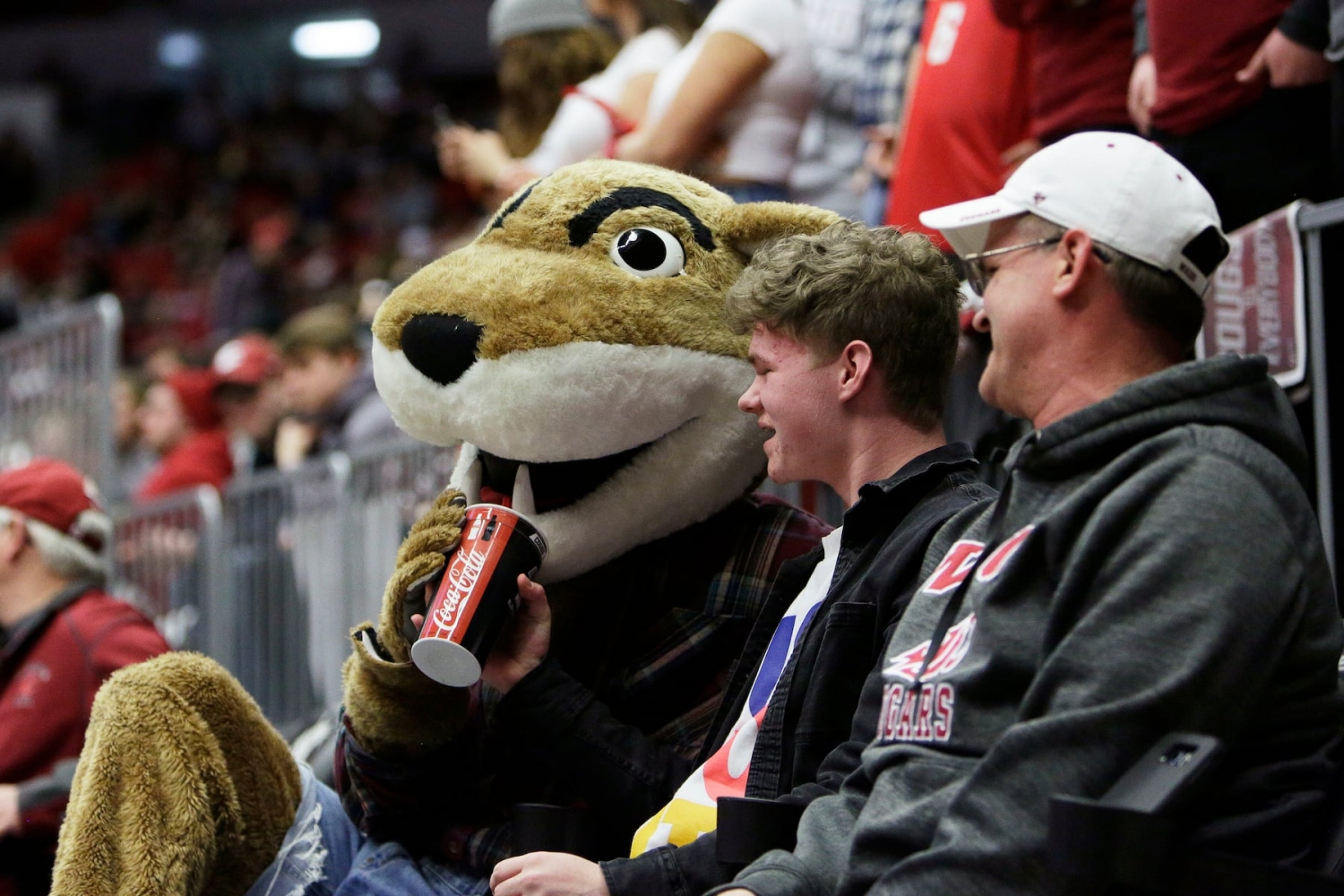 How to watch WSU Cougars vs Virginia football today: TV, odds