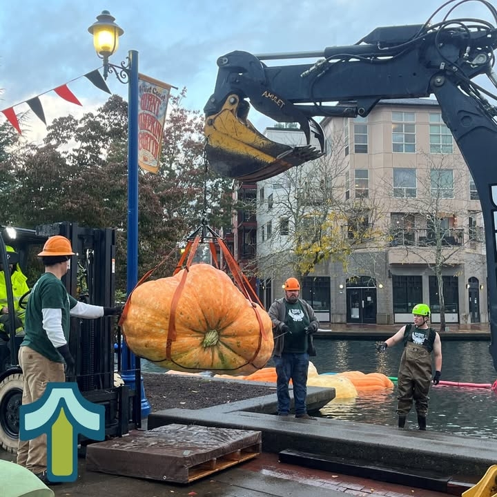 It's finally here! Join us at the Lake of the Commons for the 2025 West Coast Giant Pumkin Regatta! For event and parking information, visit https://www.tualatinoregon.gov/pumpkinregatta