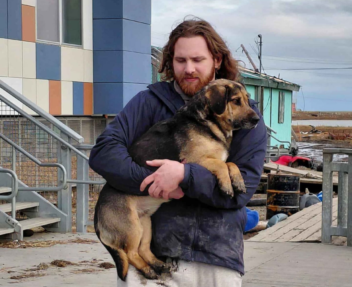 The other Alaska airlift: Volunteers save dogs from a flooded Alaska village, 1 tiny plane at a time