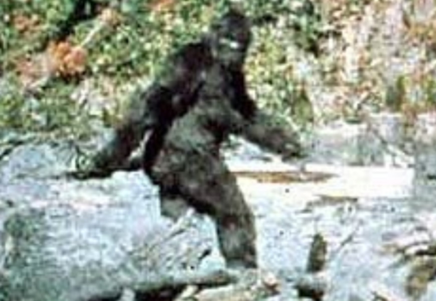 Looking for Sasquatch? Oregon is one of the best places for Bigfoot sightings