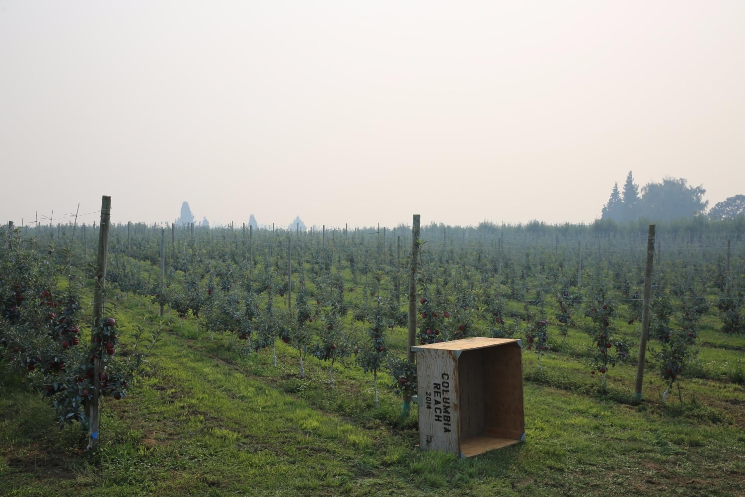 PacifiCorp pays Oregon wineries $125M in lawsuit settlement over wildfire smoke