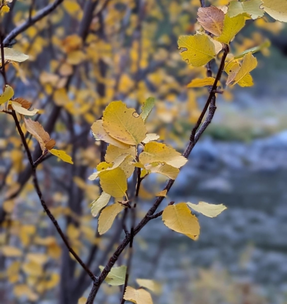 Portland sees chance showers Wednesday mixed with sun breaks; high 67