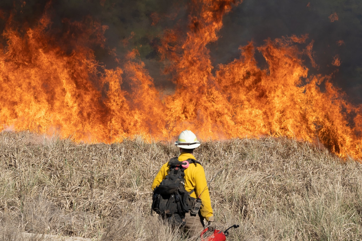 Half of Oregon could see more logging, grazing under federal wildfire bill 
