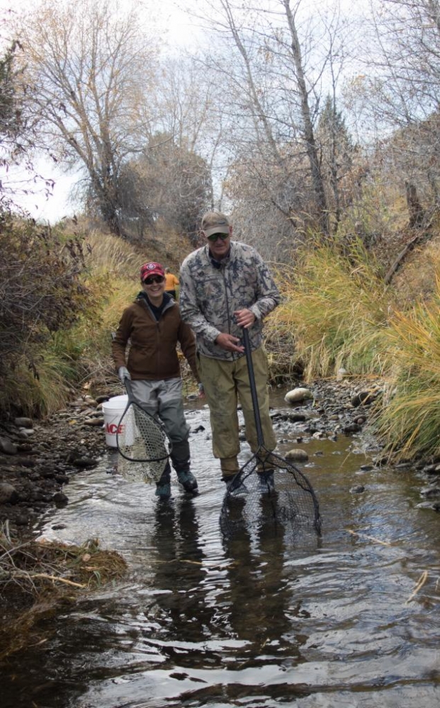 Volunteers take to the ditch for the annual West Madison Canal fish rescue
