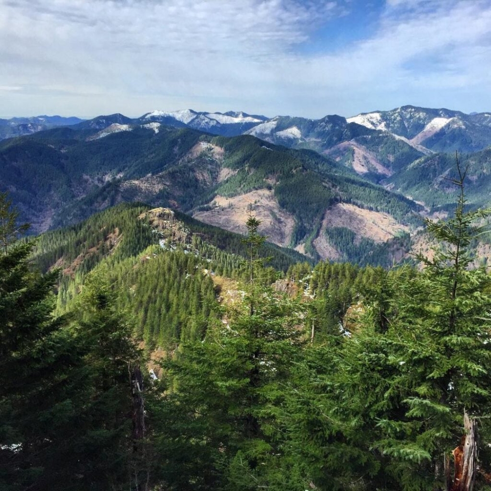 Oregon governor signs order to boost climate resilience of state lands and waters