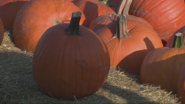 Scare Grounds PDX, Halloweentown, Bauman's Harvest Festival, a haunted manor and more: What to do this weekend