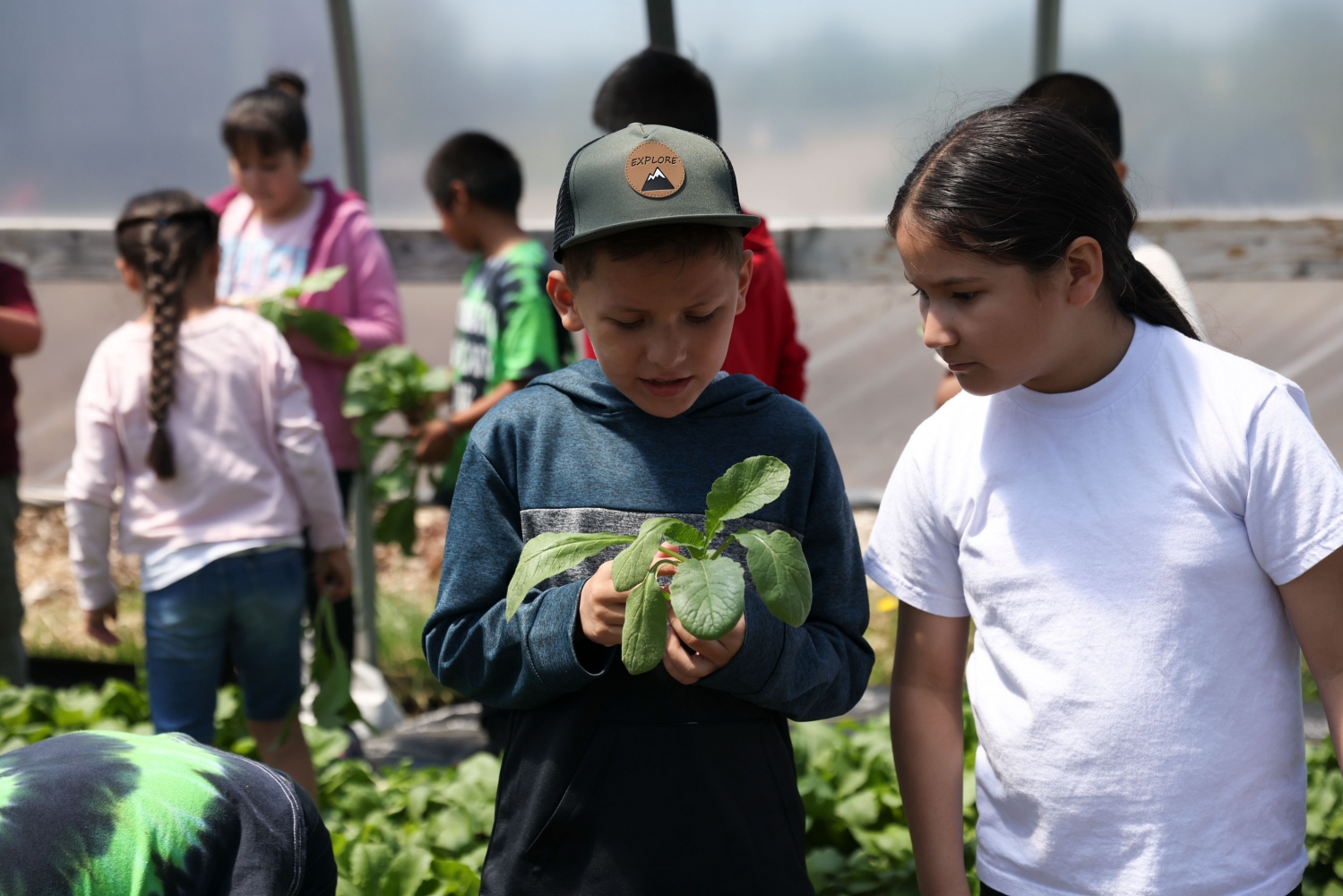 Oregon unveils 10-year vision to boost farm to school programs and local food access